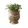 Cachepot