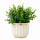 Planta Artificial