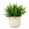 Planta Artificial