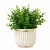 Planta Artificial