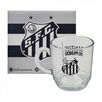 CANECA ASPEN MODELO SANTOS EM VIDRO 300ML REF: 590937