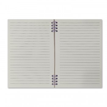 CADERNO ESPIRAL A5 PARA ANOTAÇÕES COM 80 FOLHAS REF: APPPA5080A291