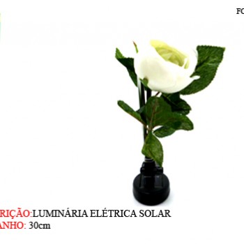PLANTA PERMANENTE "FLOR COM LED" EM PLÁSTICO ( BATERIA SOLAR ) REF: DSC01494 PLANTA PERMANENTE "FLOR COM LED" EM PLÁSTICO ( BATERIA SOLAR ) REF: DSC01494