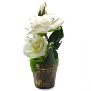 VASO COM PLANTA PERMANENTE EM PLÁSTICO REF: HB1296