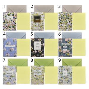 ENVELOPE E CARTÃO DE PAPEL PARA PRESENTES REF: AP248-3