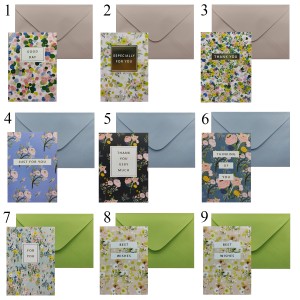 ENVELOPE E CARTÃO DE PAPEL PARA PRESENTES REF: AP248-3