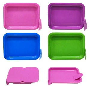 BANDEJA DE PLÁSTICO COM TAMPA REF: AP727-1