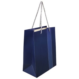 SACOLA DE PAPEL PARA PRESENTES REF: AP4028L