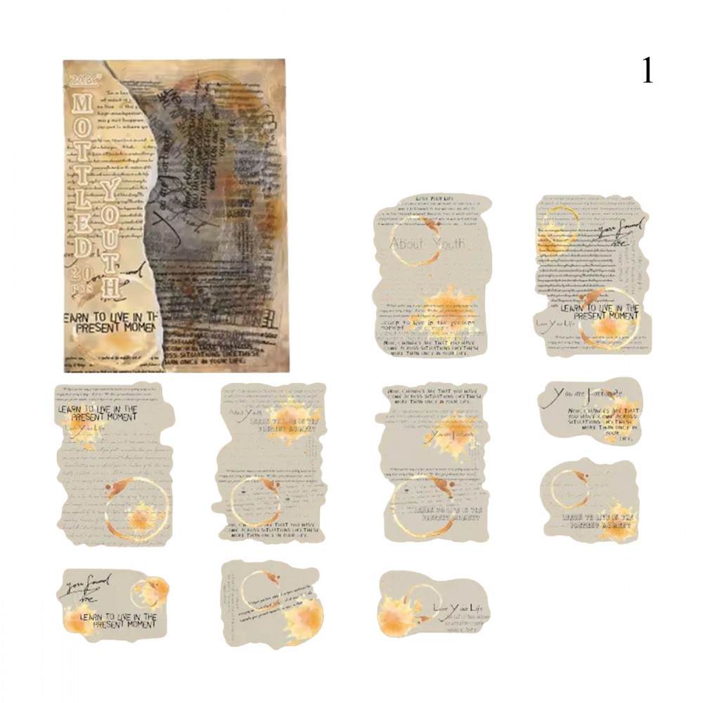 PACOTE COM 20 ADESIVOS SORTIDOS DE PLÁSTICO REF: APJYYM