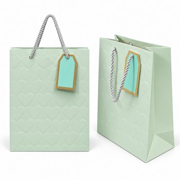 SACOLAS DE PAPEL PARA PRESENTES REF: AP104B01G SACOLAS DE PAPEL PARA PRESENTES REF: AP104B01G
